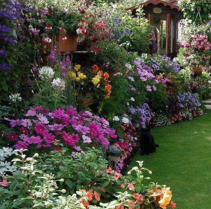 Covingtons Nursery