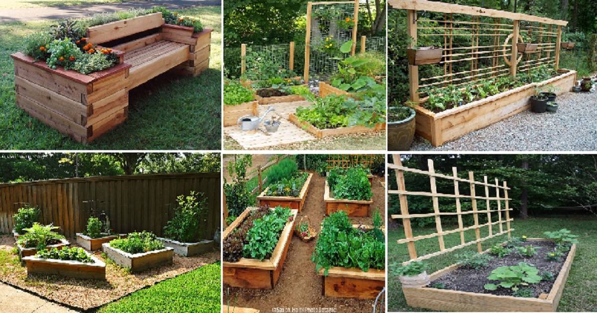 Best Top Community Garden Ideas