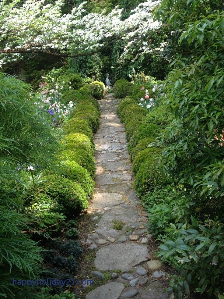 Those Green Velvet Boxwood
