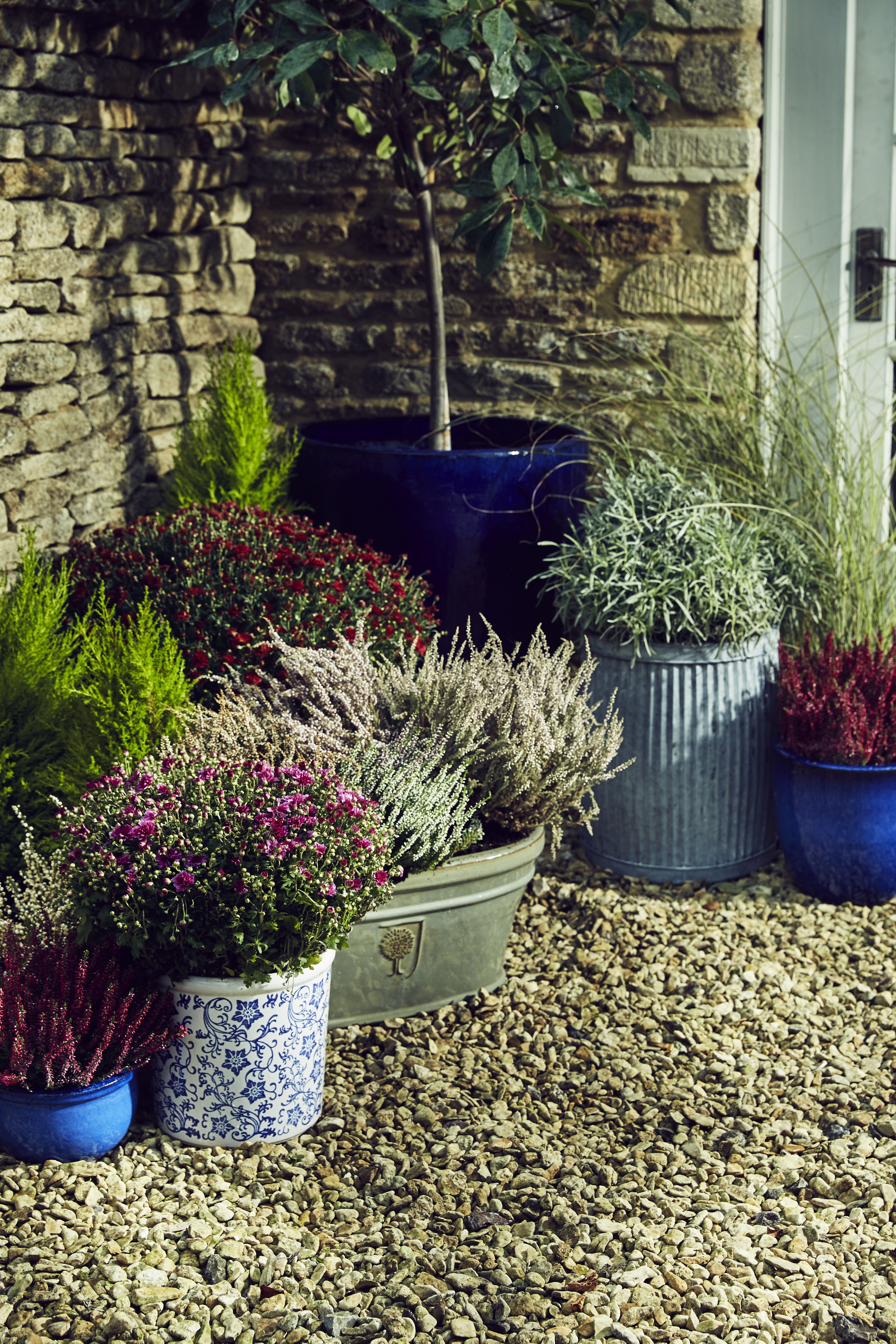 Your Garden