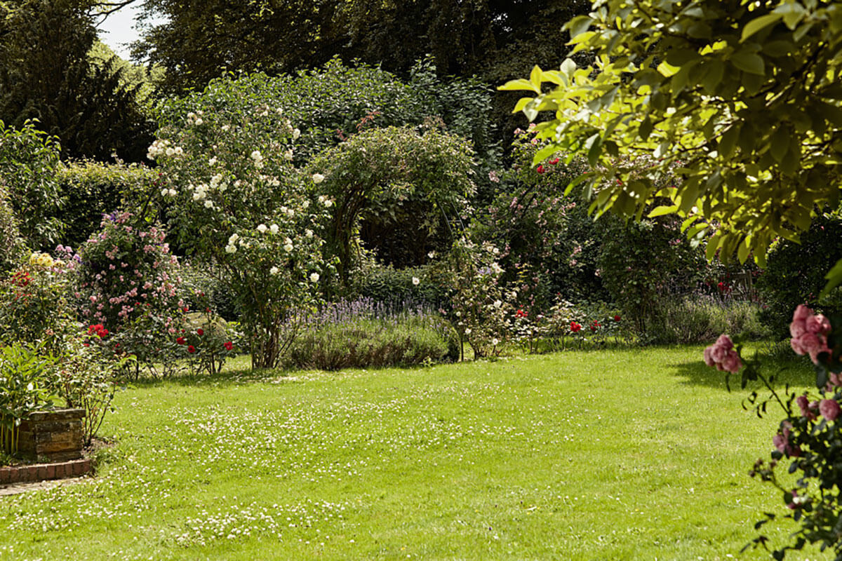 Garden Design Ideas
