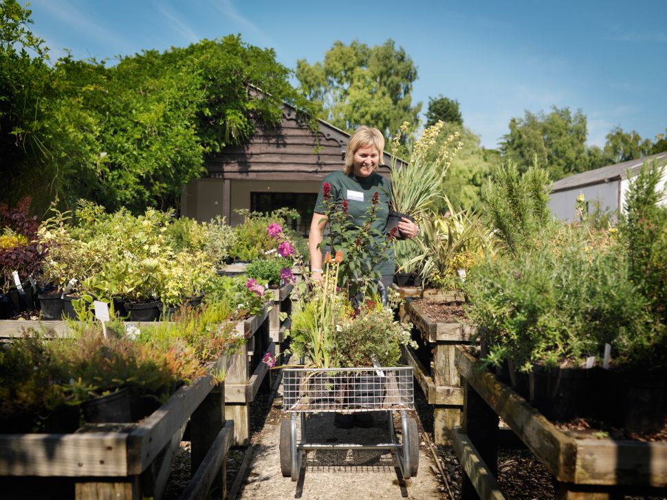 Your Garden