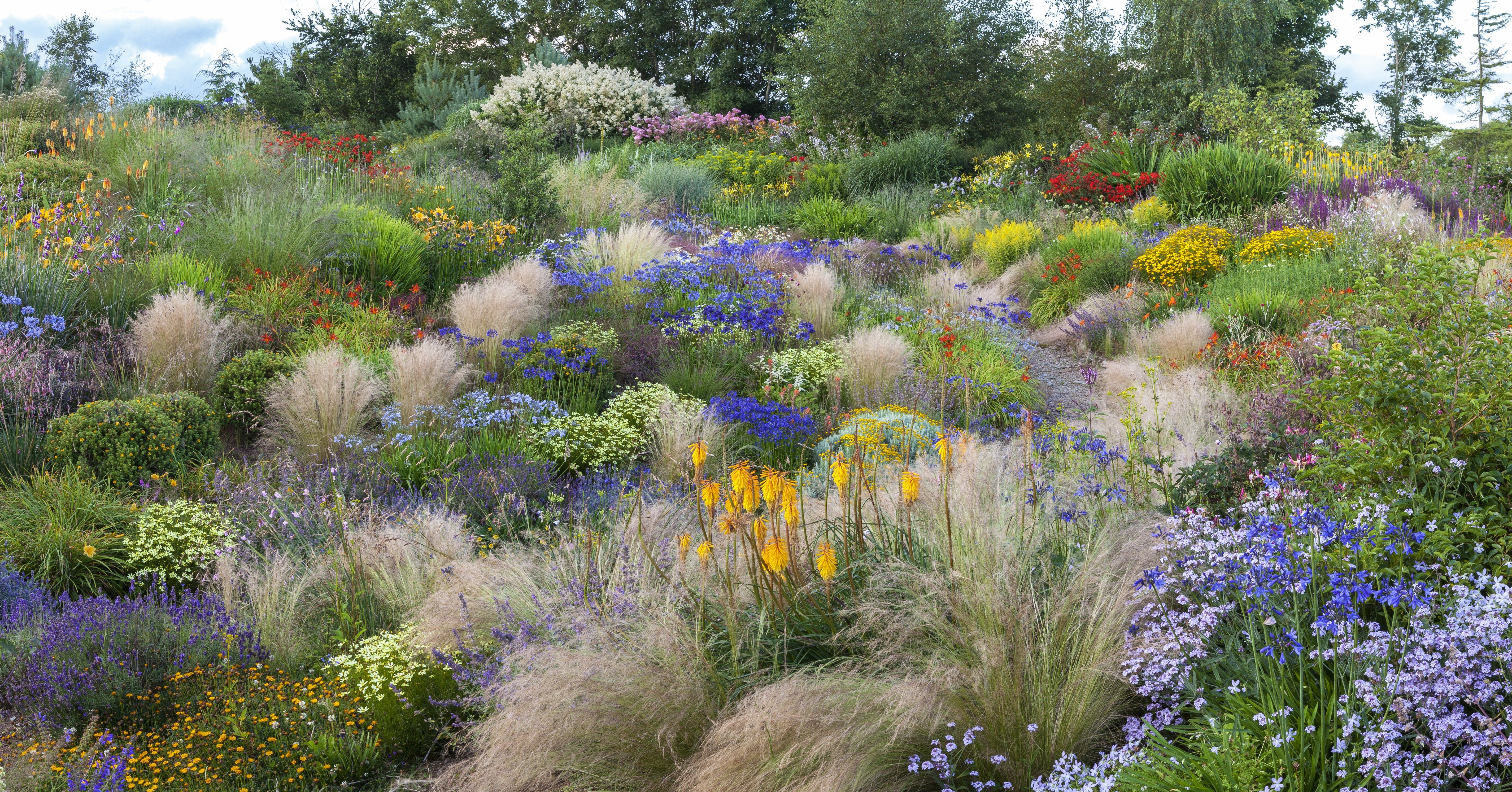 Mounding Perennials