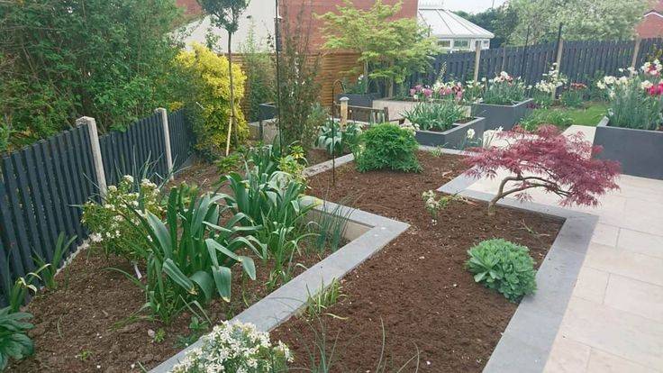 Perennials Annuals Veggies Tips Tricks Pix Cubit Perennials