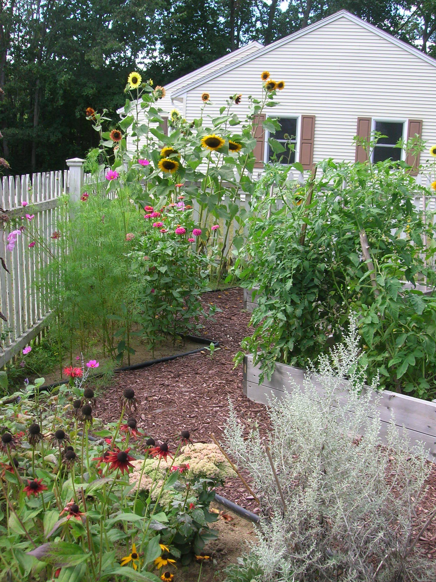 Simple But Sweet Its Interesting Without Being Chaotic