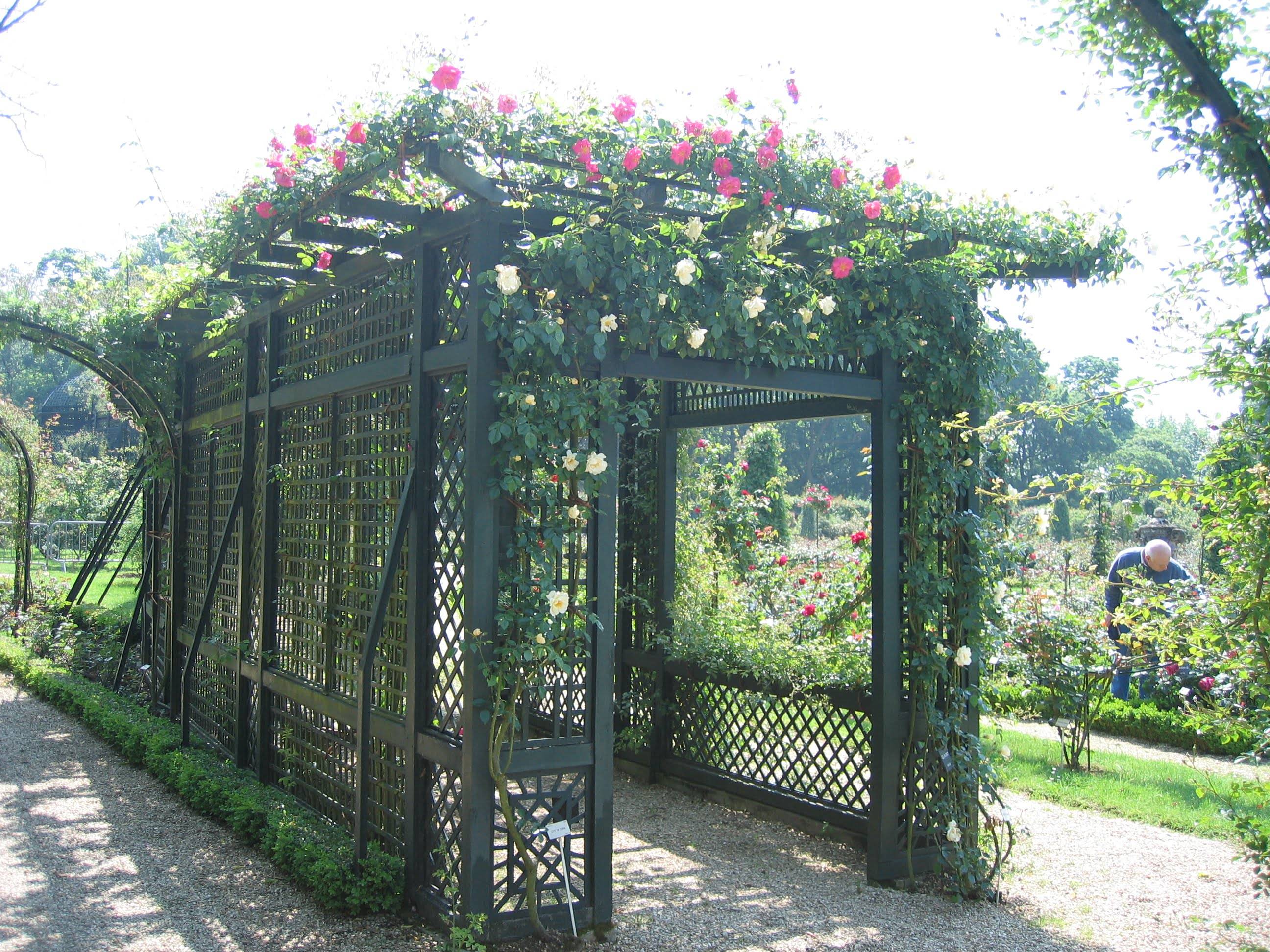 Diy Recycled Garden Trellis Ideas
