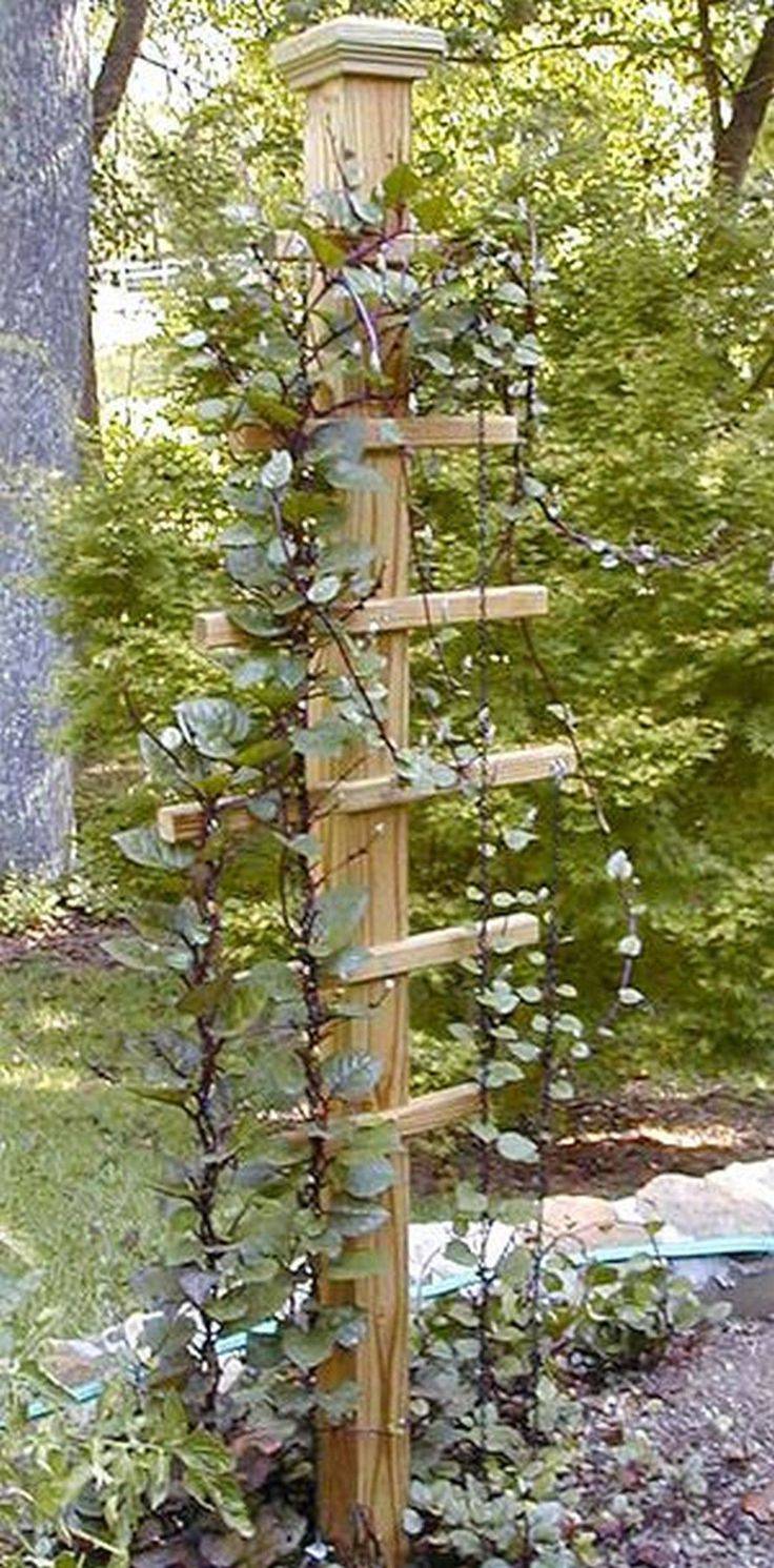 Creative And Easy Diy Trellis Ideas
