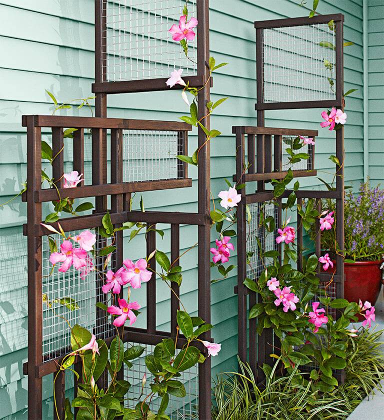 Creative And Easy Diy Trellis Ideas