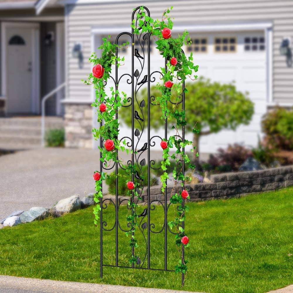 Easiest Diy Cucumber Trellis Ideas