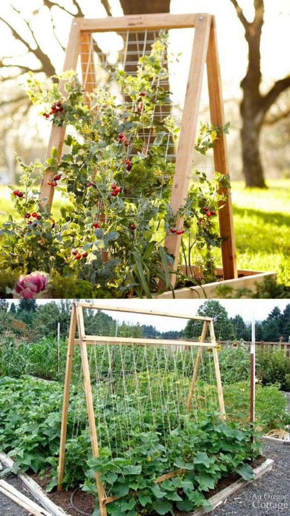 Easy And Cheap Diy Garden Trellis Ideas You Should Try