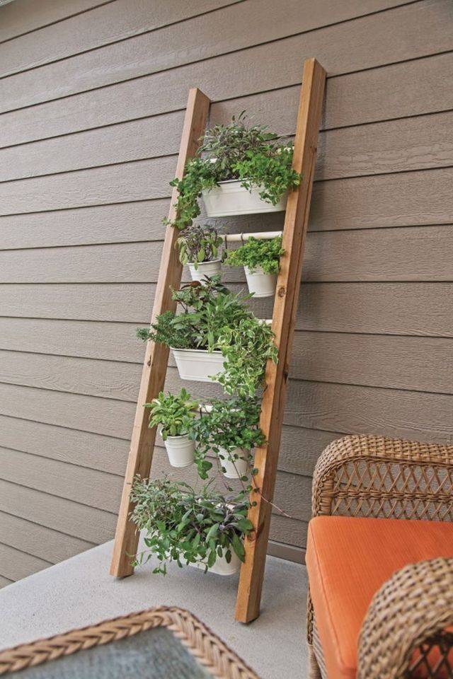 Best Indoor Garden Ideas