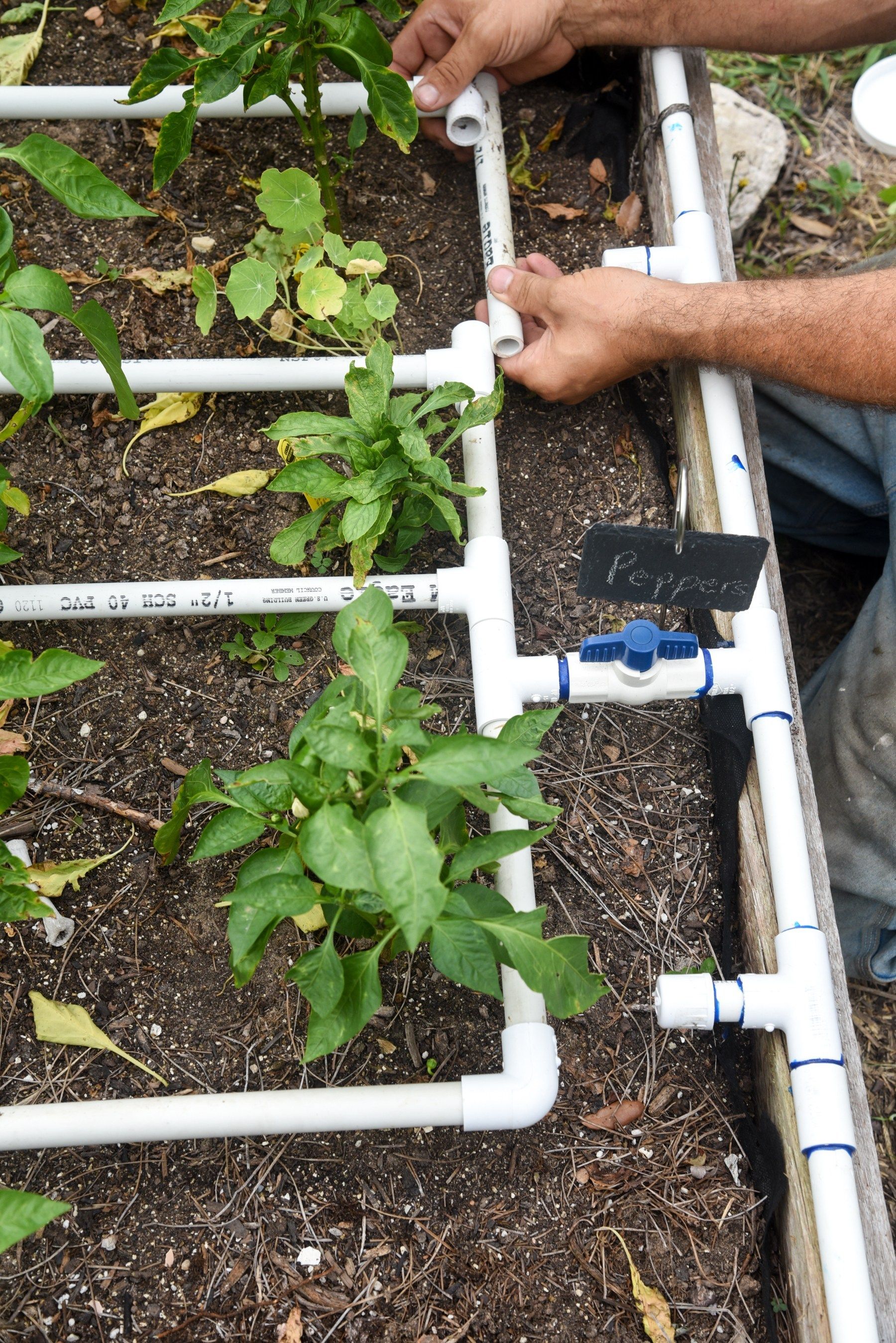 Cheap And Easy Diy Irrigation Systems