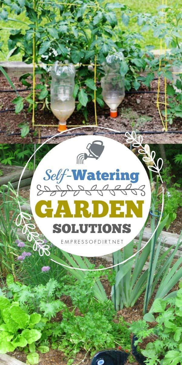 Cheap And Easy Diy Irrigation Systems