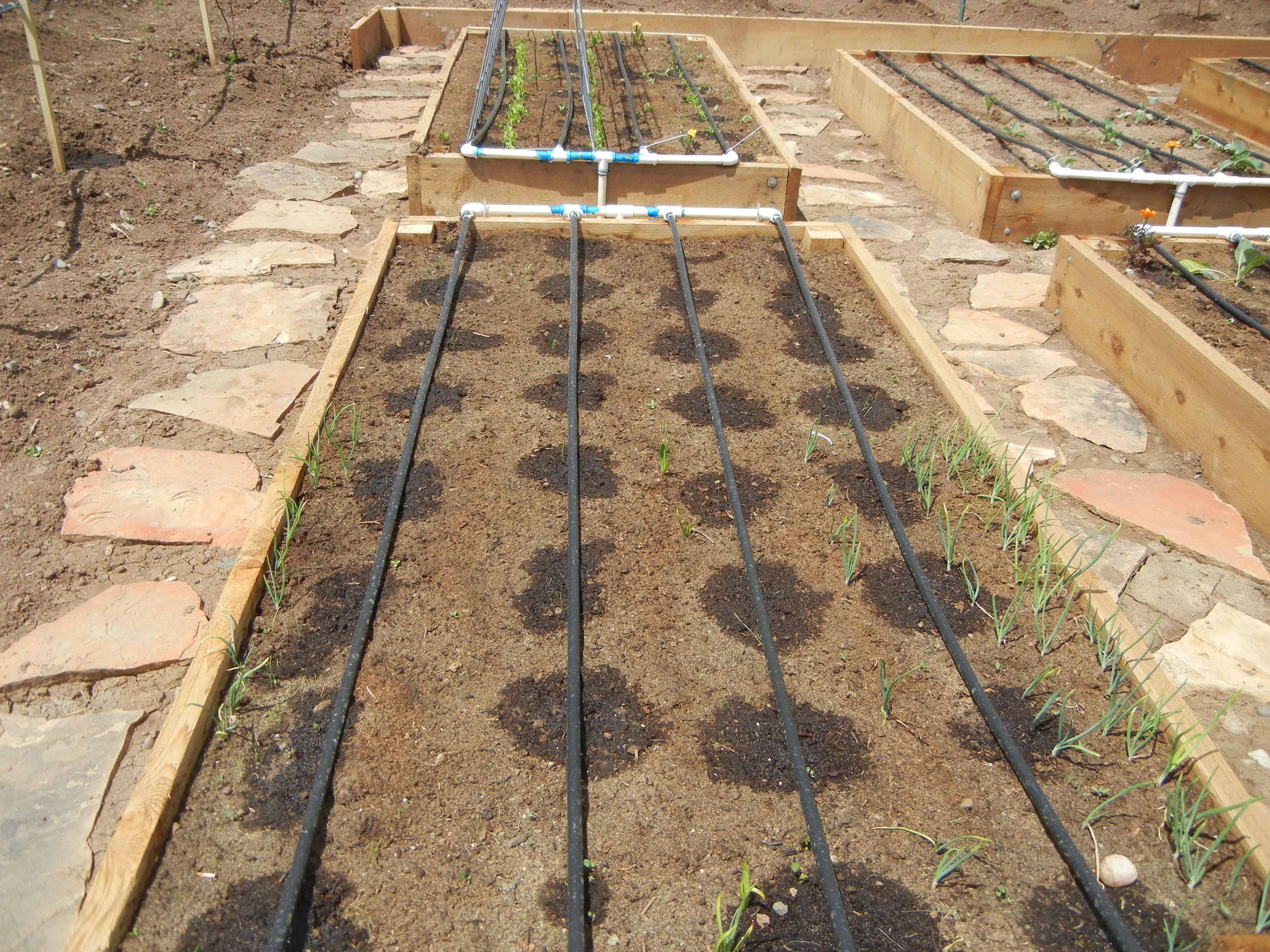 Diy Drip Irrigation