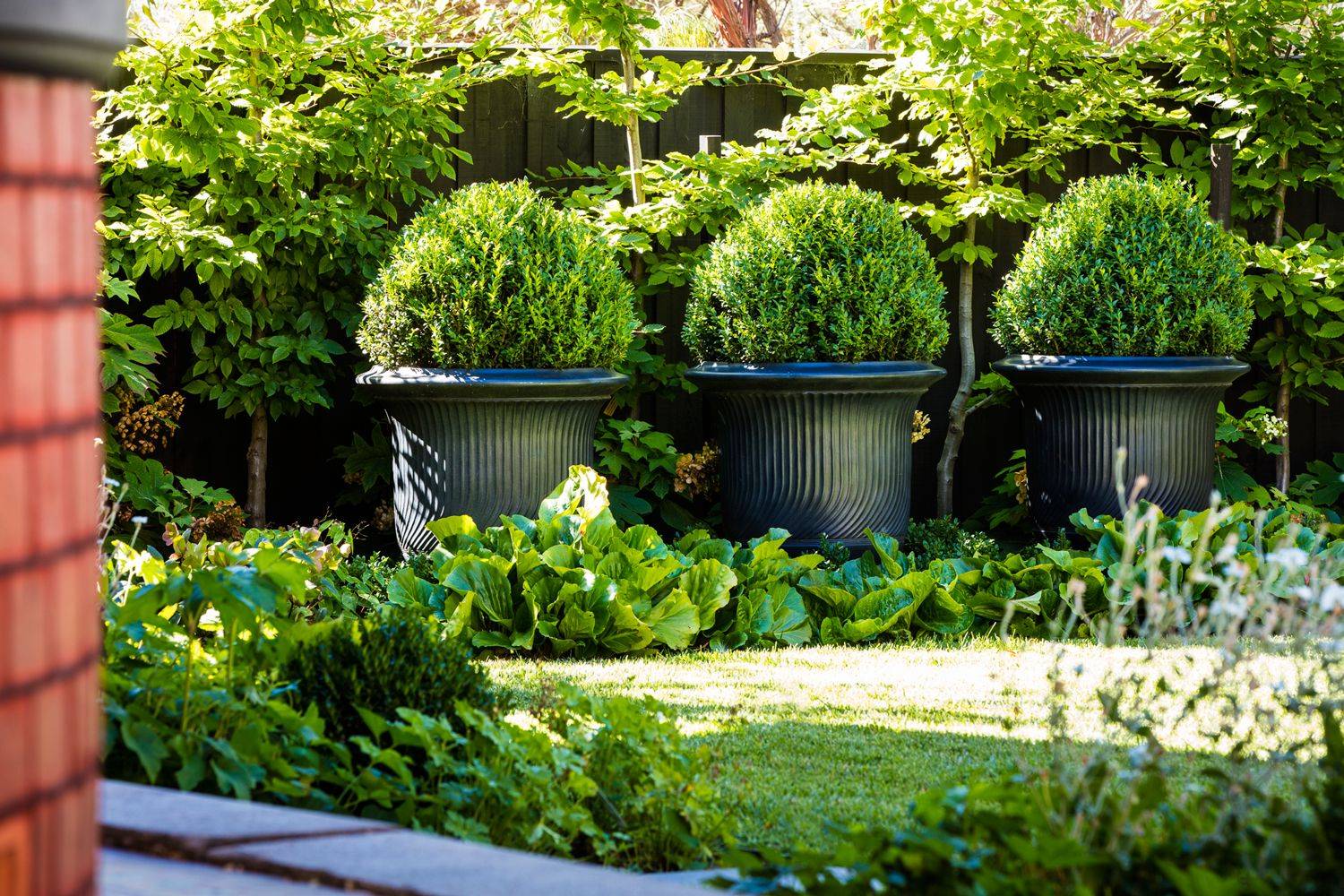22 Buxus Garden Ideas You Must Look | SharonSable