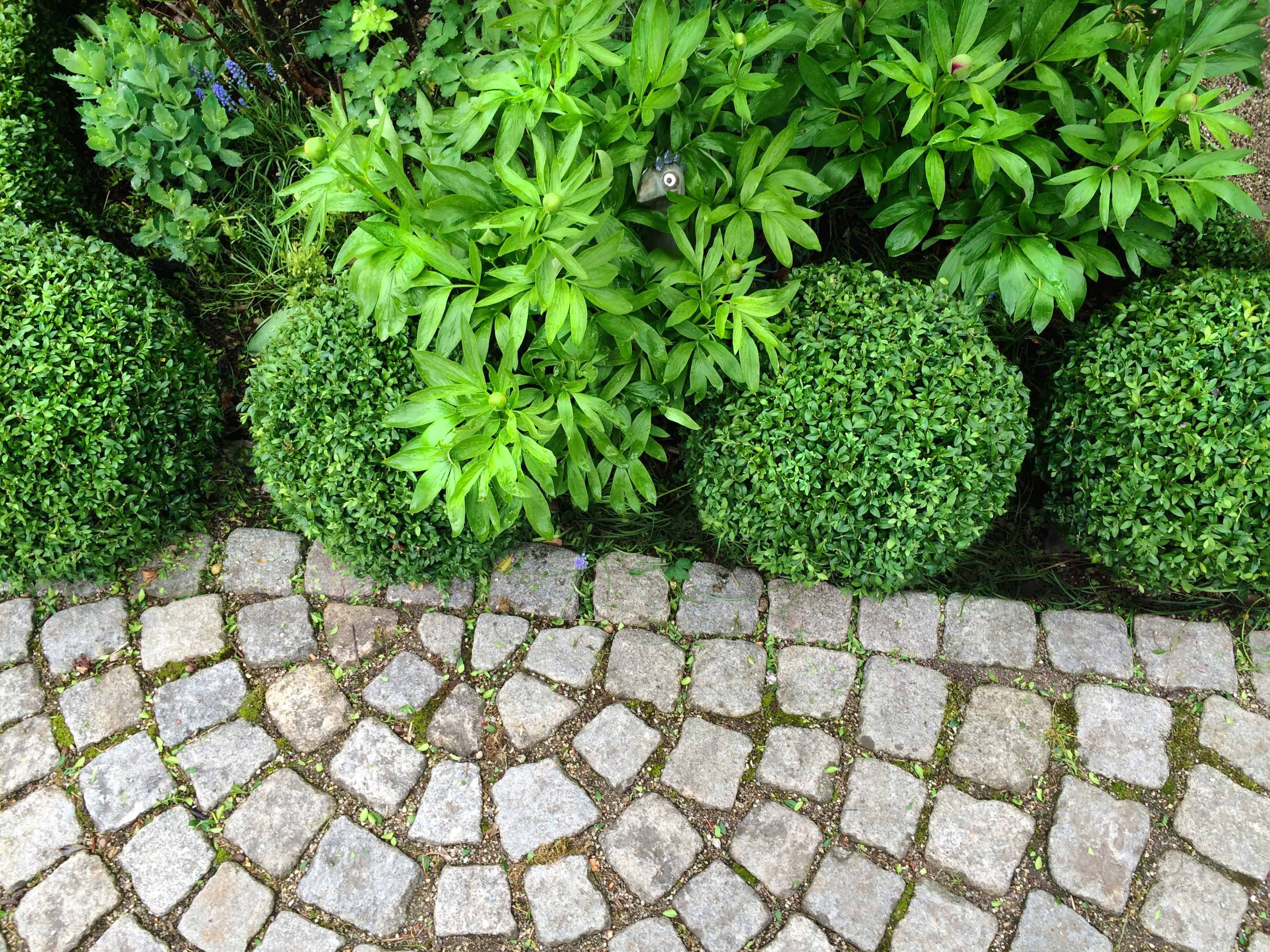 Bestallco Gardenlandscape Design Garden