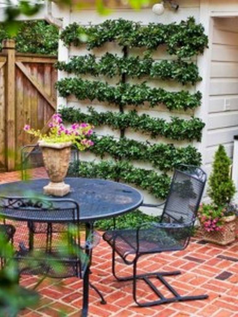 Backyard Design Ideas