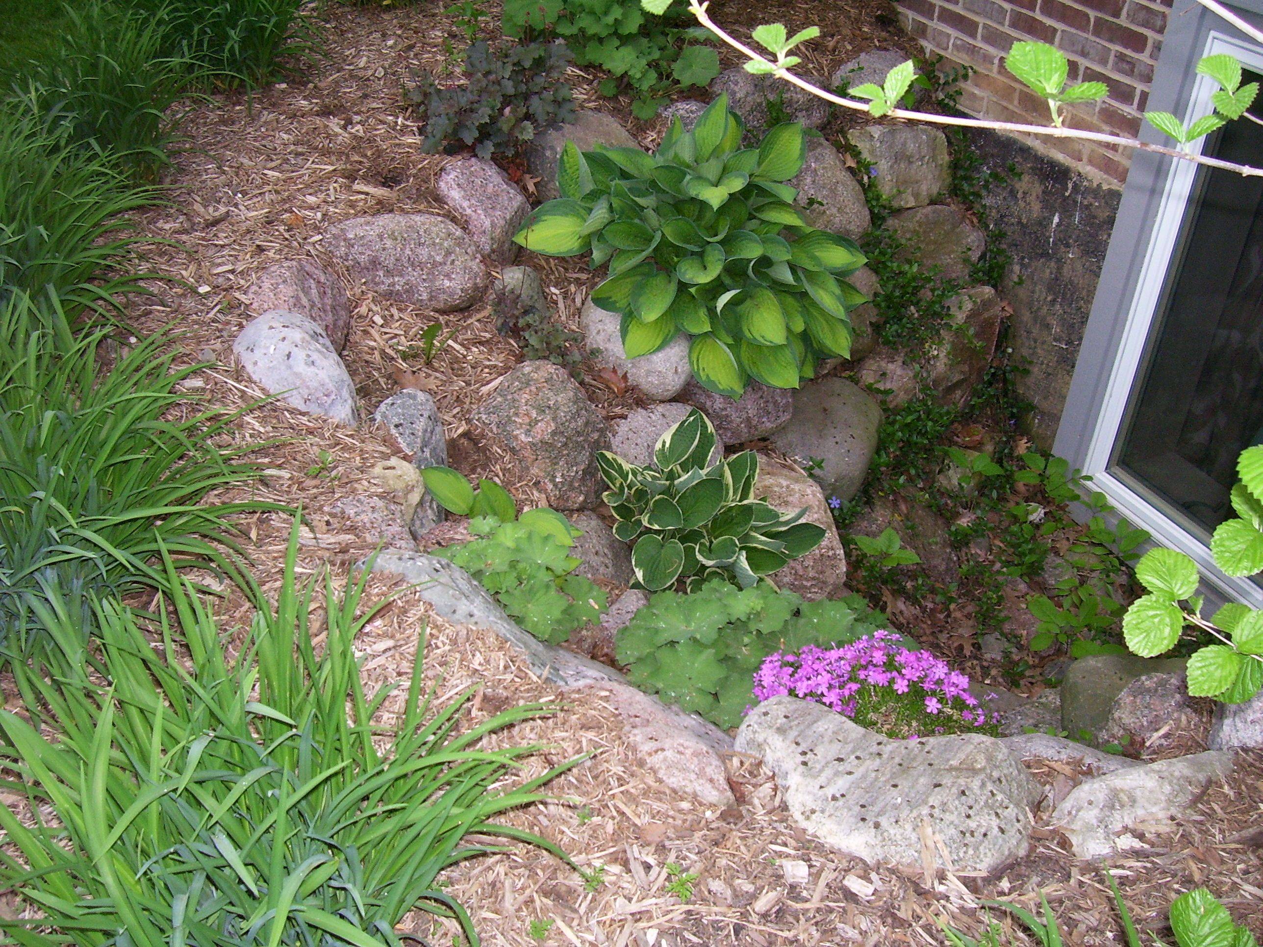 Egress Windows Landscaping Ideas