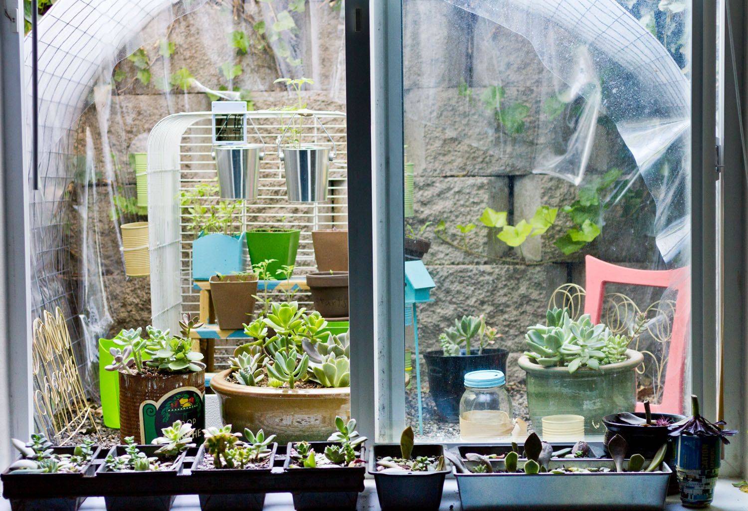 Gardens Egress Window Landscaping