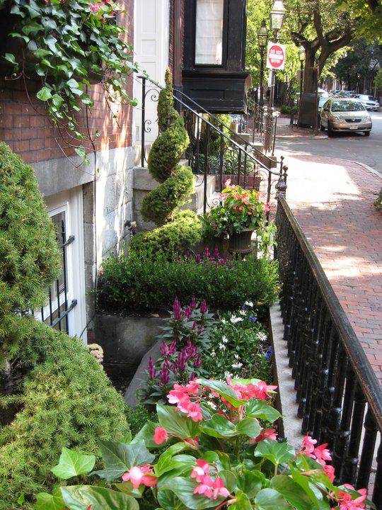 Basement Lightwell Ideas