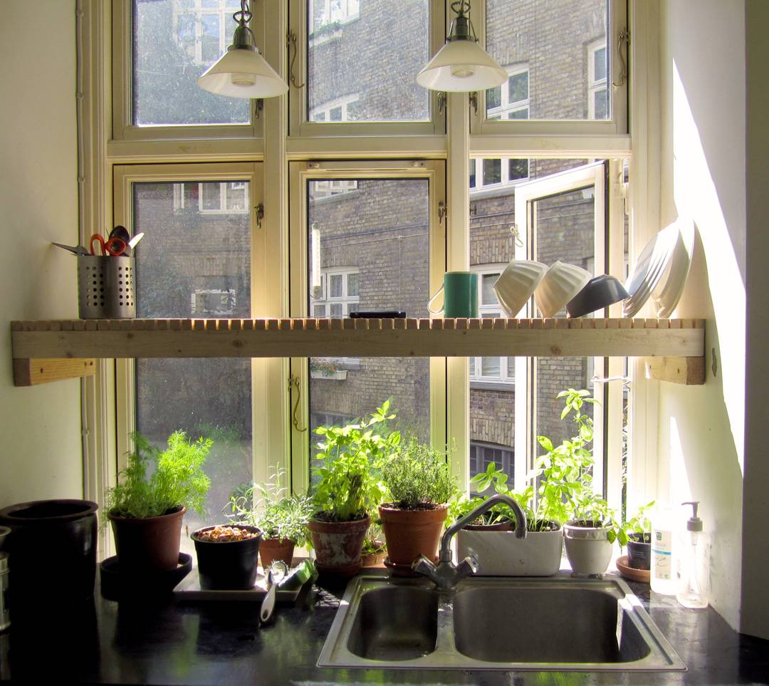 Indoor Window Garden Ideas