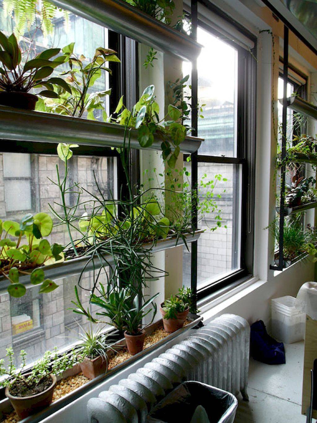 Suprising Indoor Garden Apartment Design Ideas
