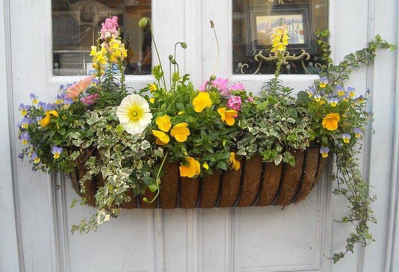 Plants Indoor Apartment Ideas