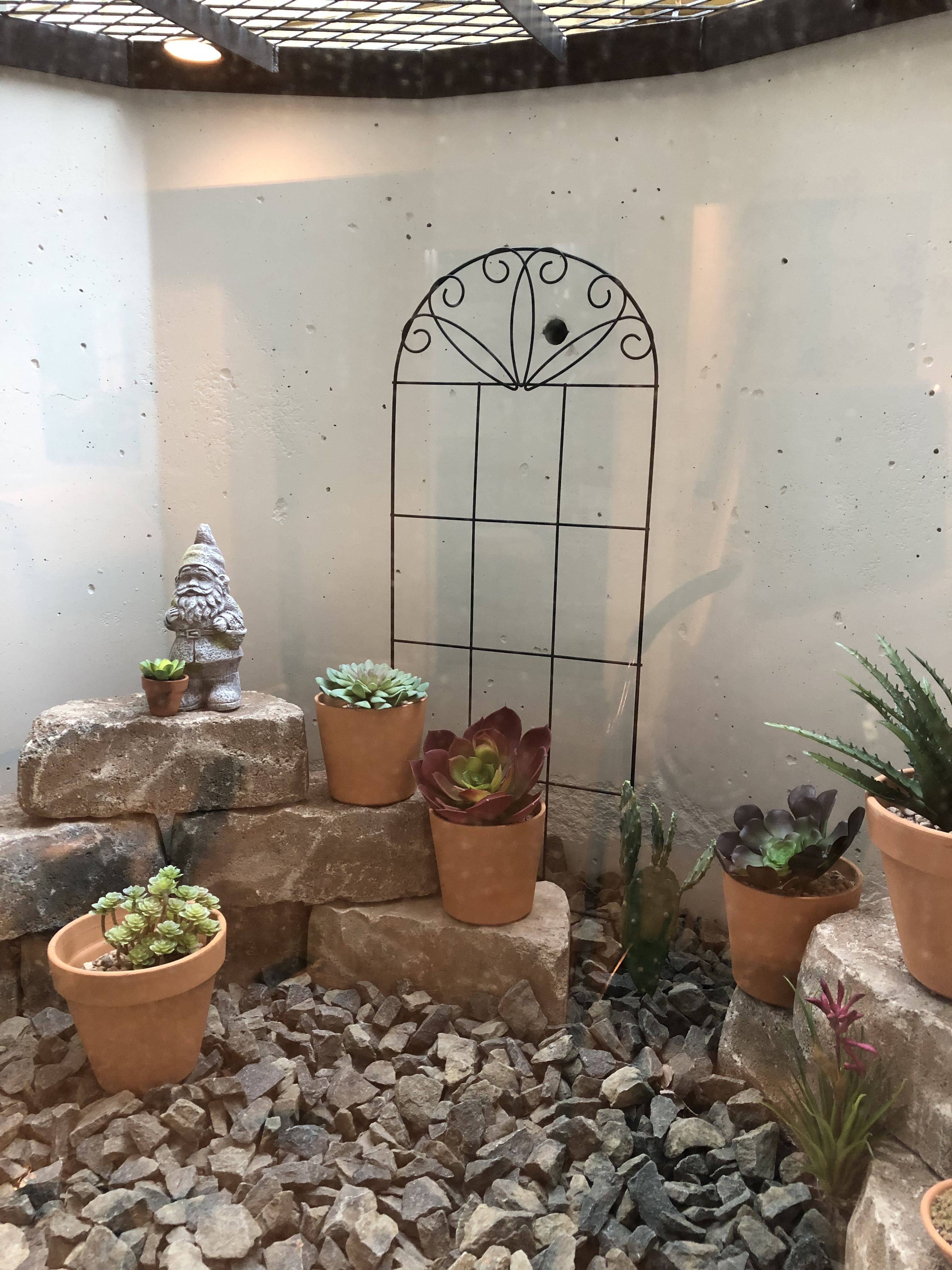 22 Basement Window Well Garden Ideas To Consider SharonSable