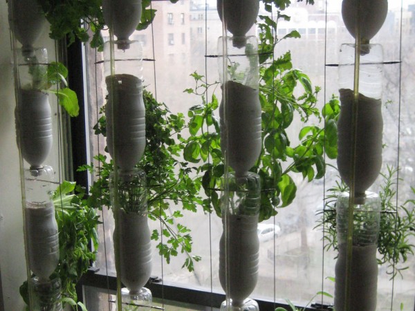 Herb Garden Indoor Ideas