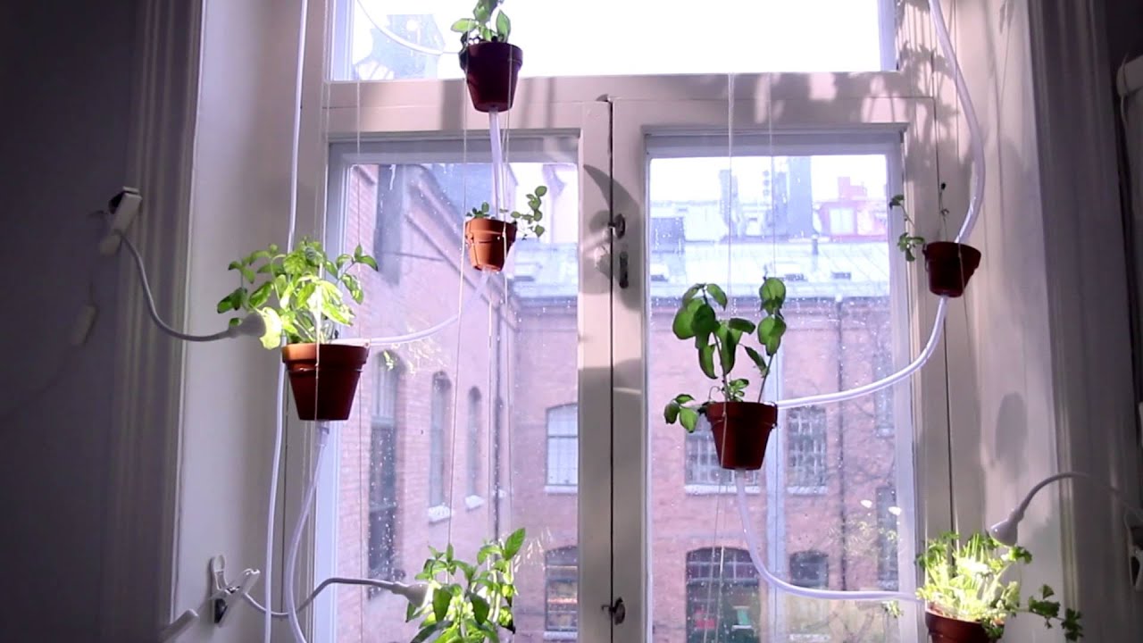 Your Own Hydroponic Window Herb Garden System