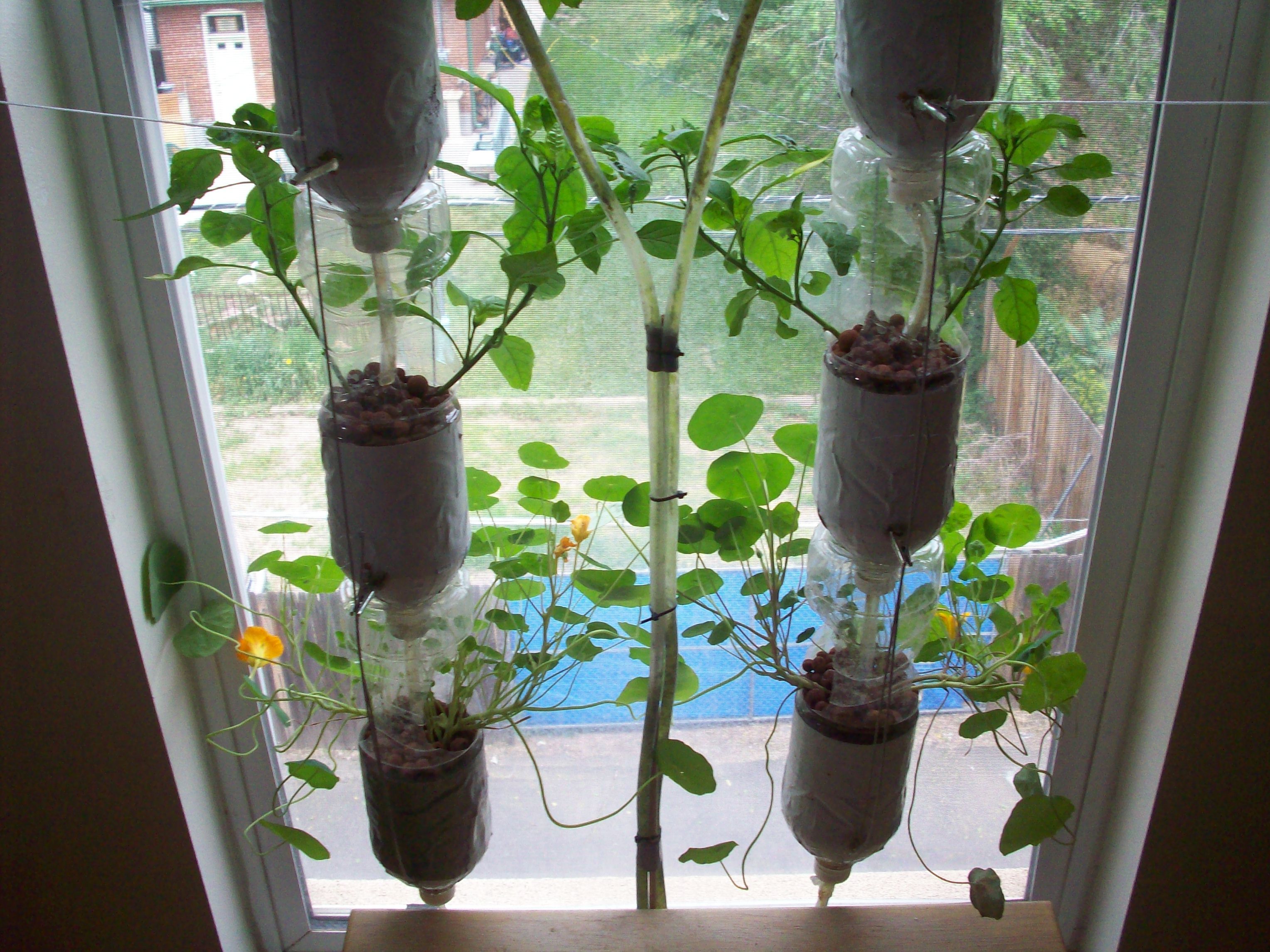 Vertical Hydroponic Window Garden