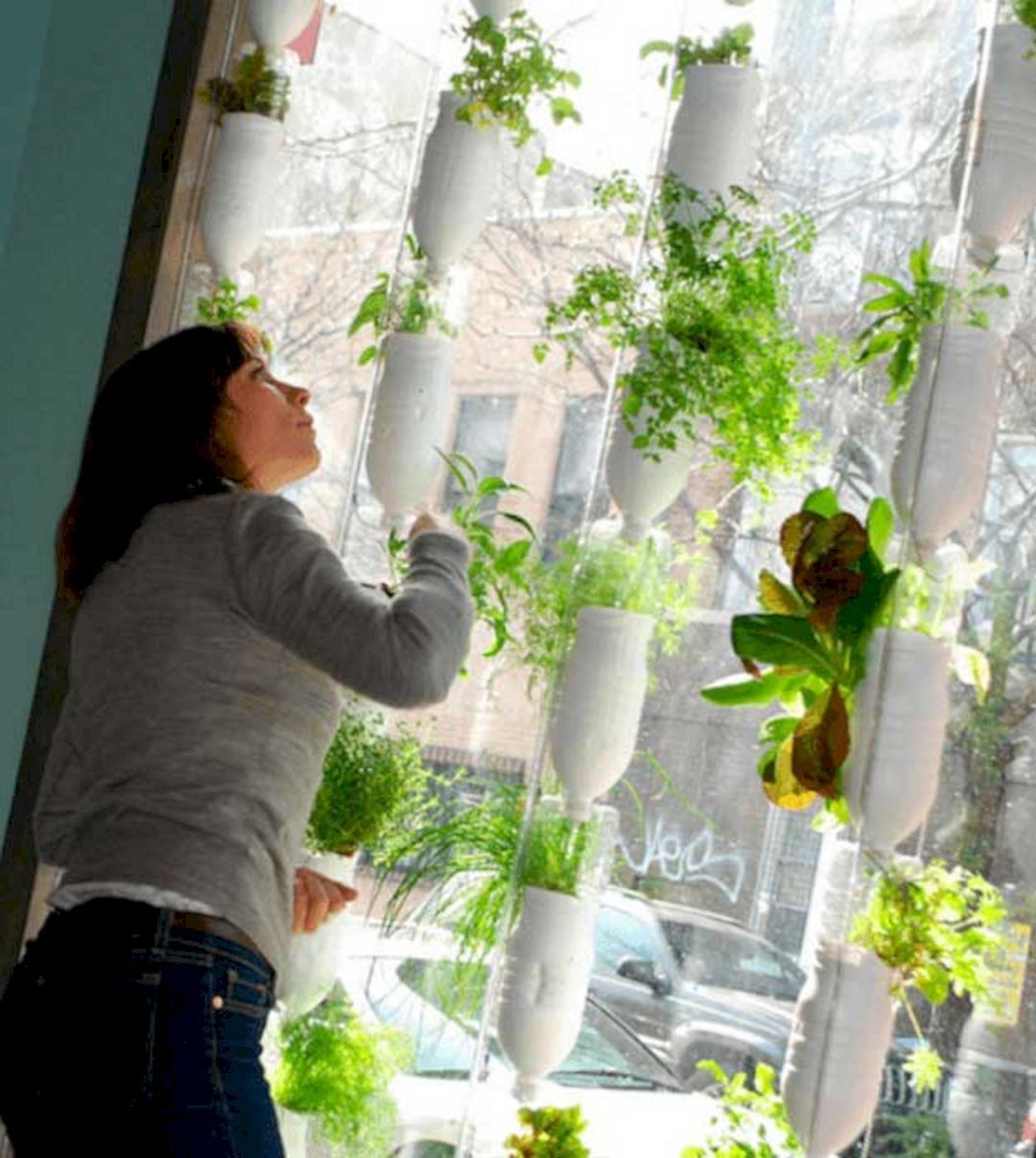 Apartment Aquaponics