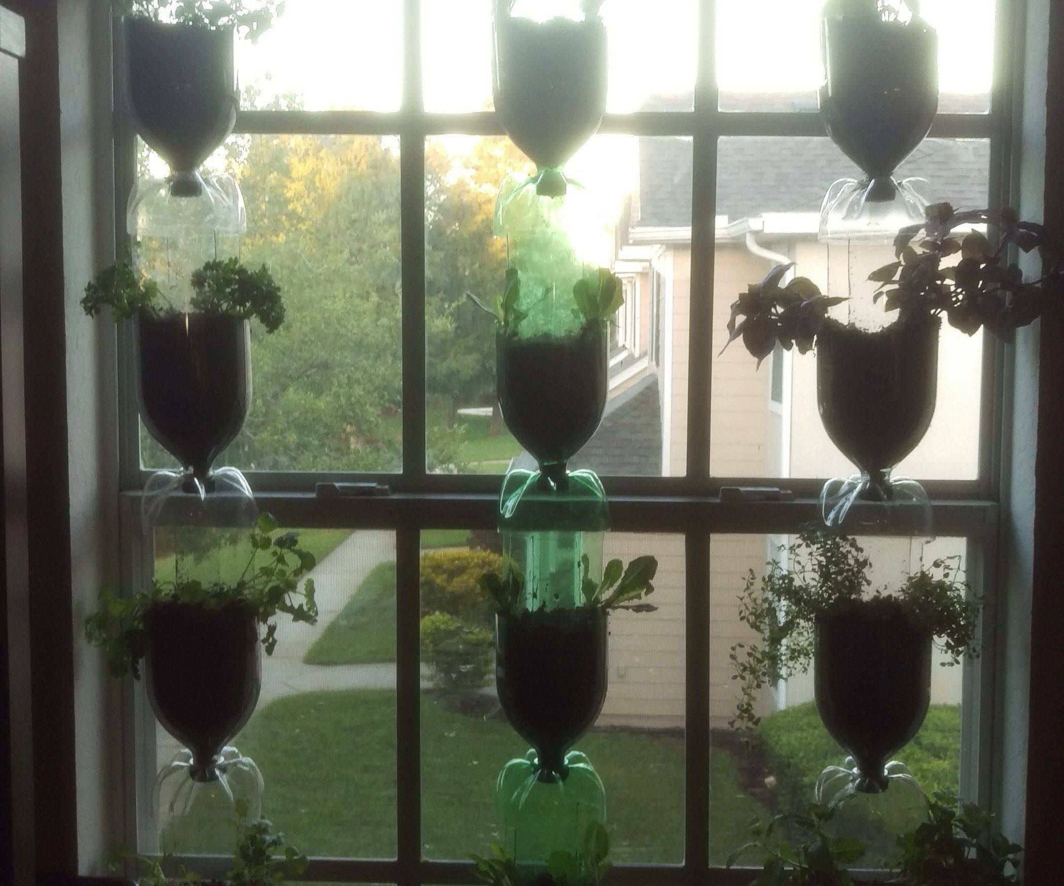 Inspiring Vertical Garden