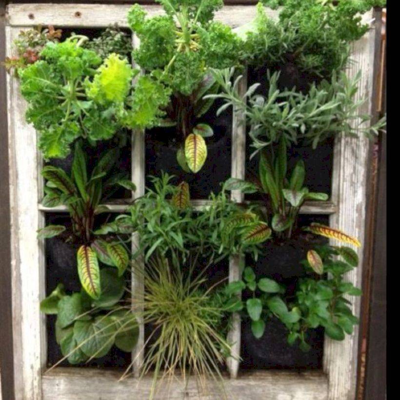 Inspiring And Creative Vertical Gardening Ideas
