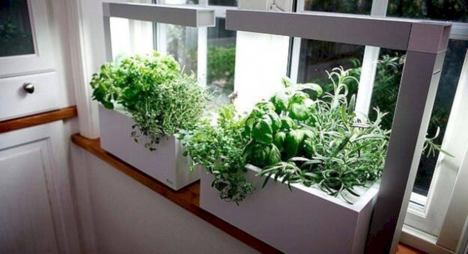 Internal Vertical Garden Design Ideas