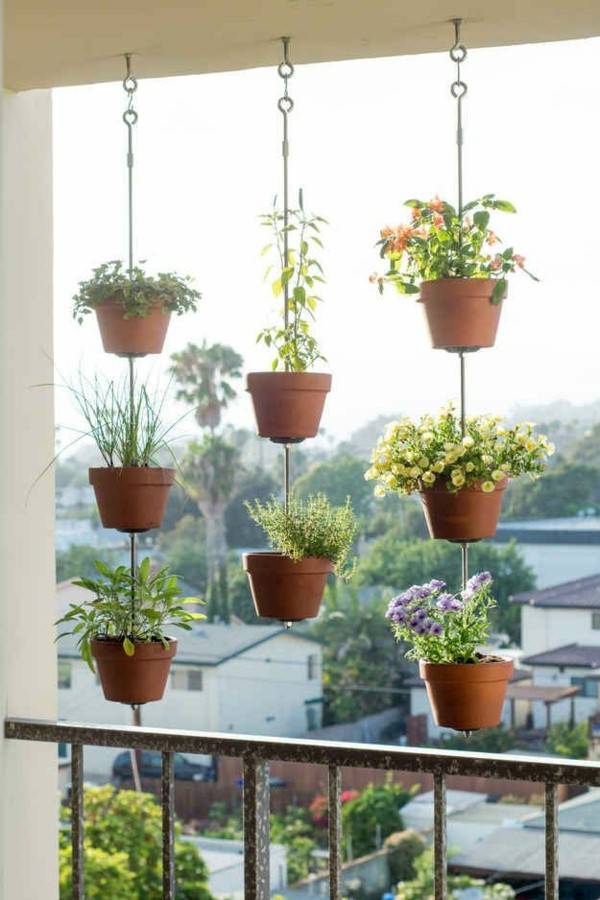 A Vertical Garden
