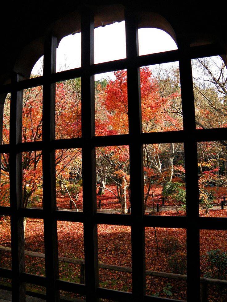 Japanese Garden Windows