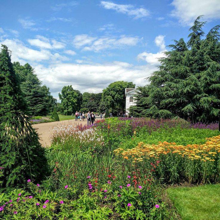 My Beautiful Collections