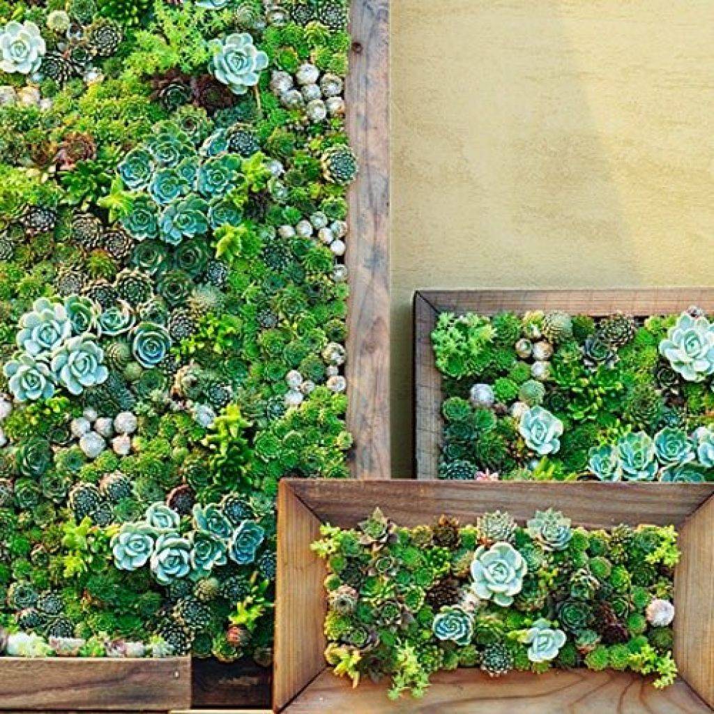 Vertical And Container Gardening Ideas