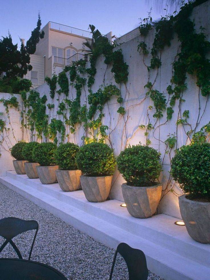 Spectacular Container Gardening Ideas Southern Living