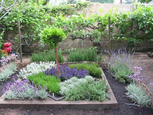 Medicinal Herb Garden Design Photograph