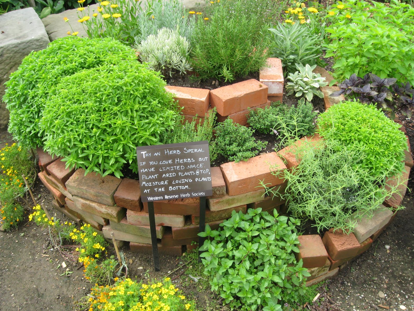 Medicinal Herb Garden Design Photograph