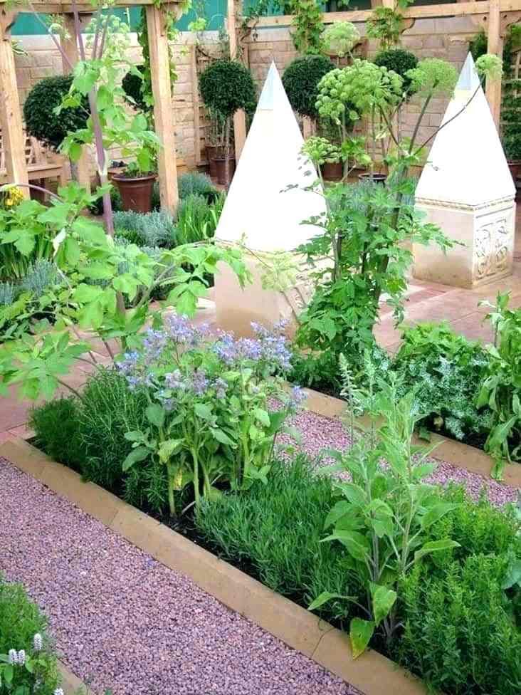 Medicinal Herb Garden Mediterranean Landscape