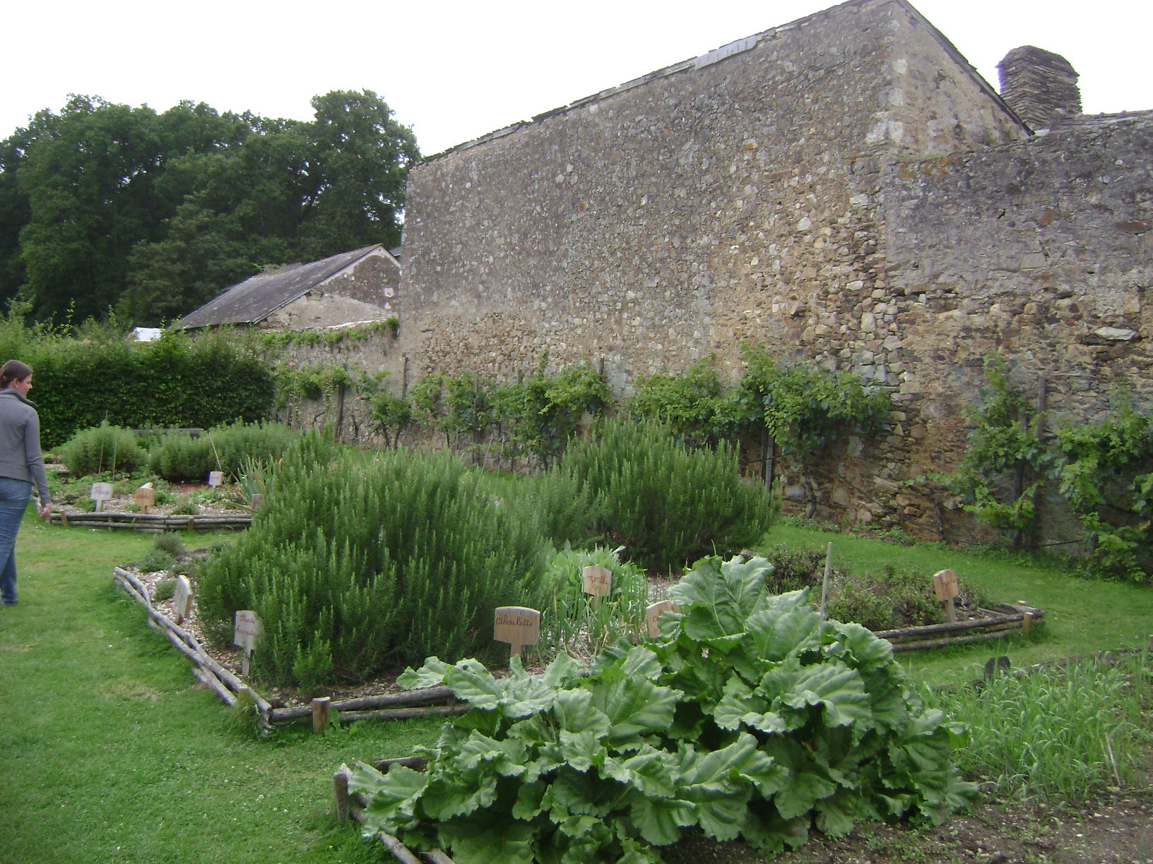 Coulommiers Medieval Garden