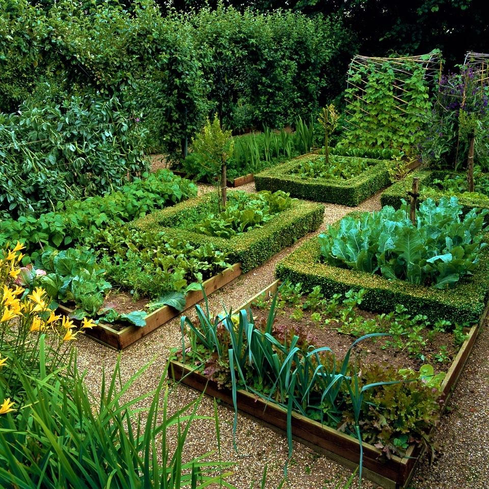 Medieval Renaissance Italian Kitchen Herbs And Vegetables Tiles