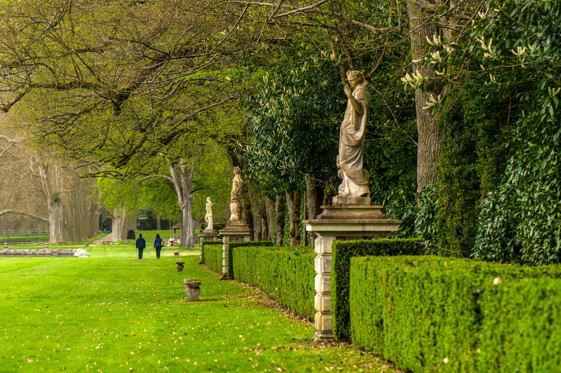 Medieval Garden Inspiration