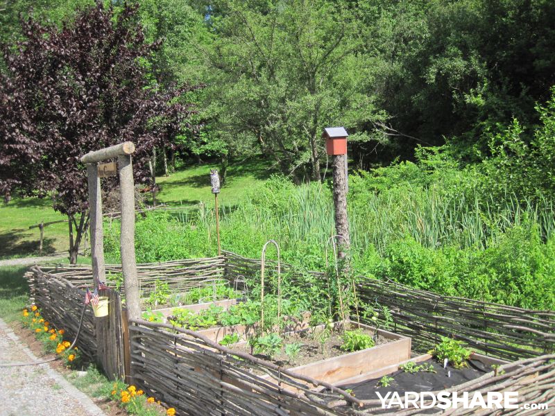 An Inexpensive Option