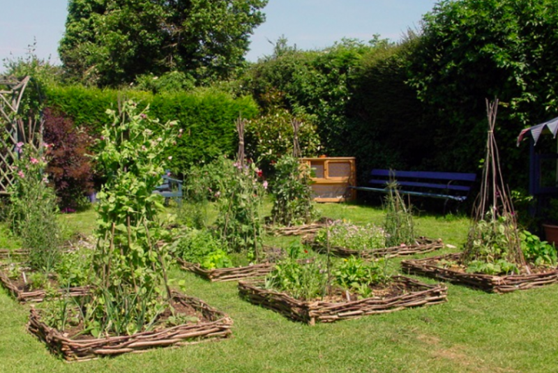 Quite Nice Actually My Wattle Fence