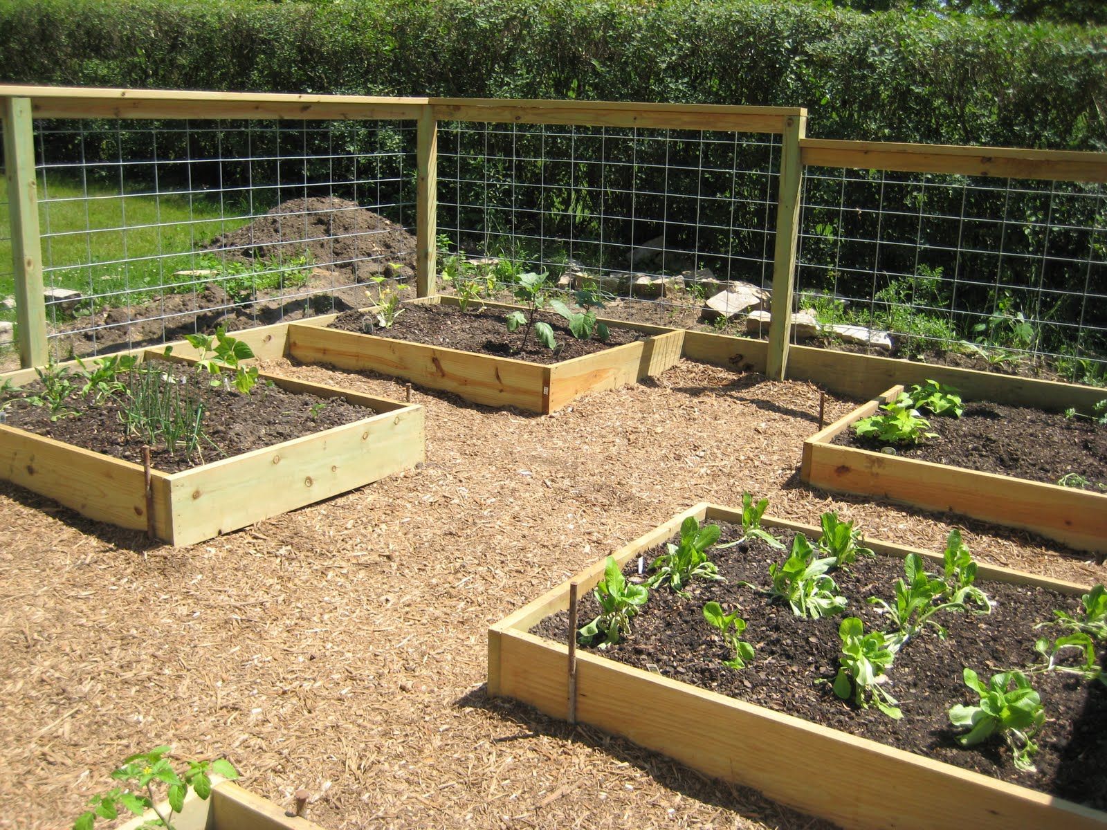 Amazing Diy Raised Bed Gardens A Piece