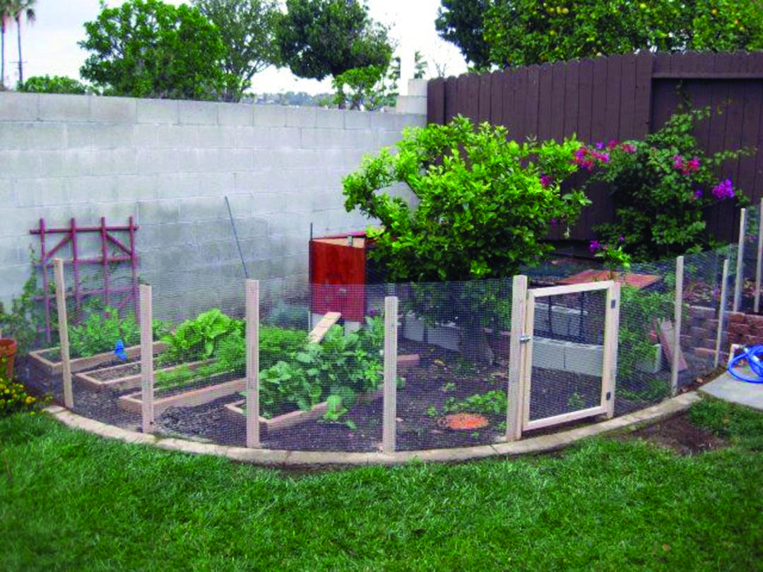 Beautiful Geometric Garden